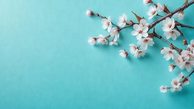 The primary subject of the image is a bouquet of white flowers, which are arranged in a vase. The flowers are placed on a blue surface, which adds a contrasting and visually appealing element to the scene. The visual style of the image is a photo, capturing the beauty of the flowers and their arrangement. The colors and mood of the image are predominantly white and blue, creating a serene and calming atmosphere.