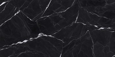 The primary subject of the image is a black marble tile. The setting is a black and white photo, which gives the image a classic and timeless appearance. The visual style is a close-up of the marble tile, showcasing its intricate patterns and textures. The colors and mood of the image are predominantly black and white, creating a sense of elegance and sophistication.