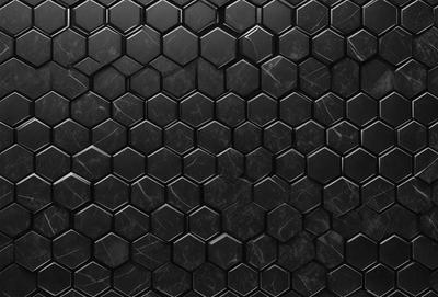 The primary subject of the image is a black and white patterned wallpaper. The setting is a black background, which creates a striking contrast with the patterned wallpaper. The visual style is a close-up of the wallpaper, showcasing the intricate design. The colors and mood of the image are predominantly black and white, giving it a classic and timeless appearance.