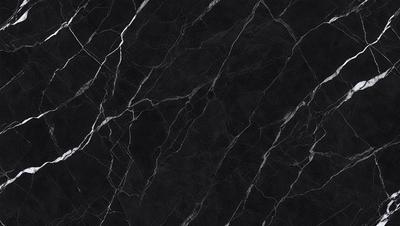 The primary subject of the image is a black and white marble tile. The setting is a black background, which contrasts with the marble tile. The visual style is a close-up of the marble tile, showcasing its texture and pattern. The colors and mood of the image are predominantly black and white, giving it a classic and elegant appearance.