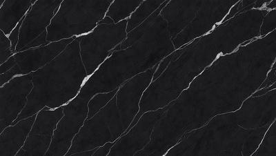 The primary subject of the image is a black marble tile with a white vein running through it. The setting is a black and white photo, which gives the image a classic and timeless appearance. The visual style is a close-up of the marble tile, highlighting its unique texture and pattern. The colors and mood of the image are predominantly black and white, creating a sense of elegance and sophistication.