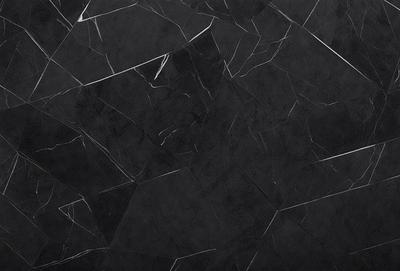 The primary subject of the image is a black and white marble tile wall. The setting is a room with a black and white marble tile floor. The visual style is a close-up of the marble tile wall, showcasing the intricate patterns and textures. The colors and mood of the image are predominantly black and white, giving it a classic and elegant appearance.