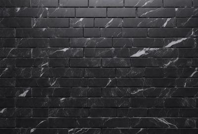 The primary subject of the image is a black brick wall. The setting is a black brick wall, and the visual style is a photo. The dominant colors are black and white, creating a stark and minimalist atmosphere.