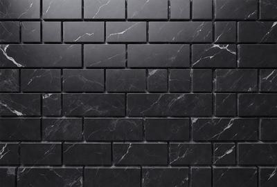 The primary subject of the image is a black and white brick wall. The setting is a black and white brick wall, which is the main object, scene, or focus of the image. The visual style is a photo, and the colors and mood are predominantly black and white, giving the image a classic and timeless appearance.