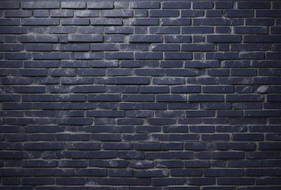 The primary subject of the image is a blue brick wall. The setting is a brick wall, and the visual style is a photo. The dominant colors are blue and gray, creating a calm and serene atmosphere.