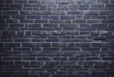 The primary subject of the image is a blue brick wall. The setting is a brick wall, and the visual style is a photo. The dominant colors are blue and gray, creating a calm and serene atmosphere.