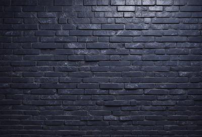 The primary subject of the image is a large, dark brick wall. The setting is a room with a blue brick wall, which creates a striking contrast with the darker bricks. The visual style is a close-up of the brick wall, showcasing its texture and details. The colors and mood of the image are predominantly dark, with the blue bricks providing a touch of brightness.