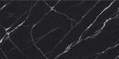 The primary subject of the image is a black marble tile. The setting is a black background, which creates a striking contrast with the tile. The visual style is a close-up of the tile, showcasing its texture and pattern. The colors and mood of the image are predominantly dark, with the black marble tile being the main focus.