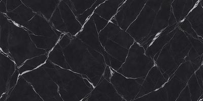 The primary subject of the image is a black marble tile. The setting is a black and white photo, which gives the image a classic and timeless appearance. The visual style is a close-up of the marble tile, showcasing its intricate patterns and textures. The colors and mood of the image are predominantly black and white, creating a sense of elegance and sophistication.