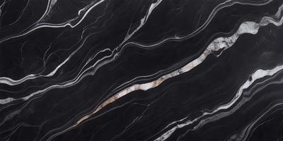 The primary subject of the image is a black and white marble tile. The setting is a wall with the marble tile as the main object. The visual style is a close-up of the marble tile, showcasing its intricate patterns and textures. The colors and mood of the image are predominantly black and white, giving it a classic and elegant appearance.