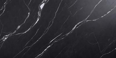 The primary subject of the image is a black marble wall with a pattern of white veins. The setting is a room with a black background, which emphasizes the contrast between the marble and the black wall. The visual style is a close-up of the marble wall, showcasing the intricate pattern of the white veins. The colors and mood of the image are dark and dramatic, with the black marble and white veins creating a striking contrast against the black background.