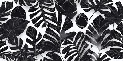 The primary subject of the image is a close-up of a large leaf, possibly a fern, with a black and white color scheme. The leaf is the main focus of the image, and it appears to be a natural, textured surface. The setting is a black and white background, which adds a sense of depth and contrast to the image. The visual style is a close-up of the leaf, emphasizing its details and texture. The overall atmosphere of the image is calm and serene, with the black and white color scheme
