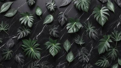 The primary subject of the image is a collection of green leaves, which are arranged in a visually appealing manner. The leaves are displayed on a black marble surface, creating a striking contrast between the greenery and the dark background. The visual style of the image is a close-up of the leaves, showcasing their intricate details and textures. The overall atmosphere of the image is serene and calming, with the green leaves serving as a natural and soothing element.