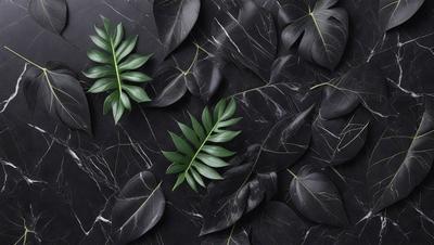 The primary subject of the image is a close-up of a leafy plant, possibly a fern, with a black background. The plant is placed on a black marble surface, which adds a contrasting element to the scene. The visual style of the image is a close-up, which emphasizes the details of the plant. The colors in the image are predominantly black and green, creating a moody and dramatic atmosphere.