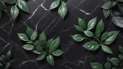 The primary subject of the image is a large green leaf, which is prominently displayed on a black marble surface. The leaf is positioned in the center of the image, and it appears to be the main focus of the scene. The setting is a black marble wall, which provides a striking contrast to the green leaf. The visual style of the image is a close-up of the leaf, emphasizing its texture and details. The colors in the image are predominantly black and green, creating a bold and striking atmosphere.