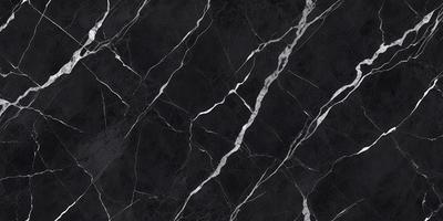 The primary subject of the image is a black and white marble tile. The setting is a black and white marble tile wall, which serves as the background. The visual style is a close-up of the marble tile, showcasing its texture and pattern. The colors and mood of the image are predominantly black and white, giving it a classic and elegant appearance.