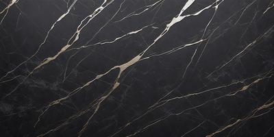 The primary subject of the image is a black marble wall with a gold pattern. The setting is a room with a black background. The visual style is a close-up of the marble wall, showcasing the gold pattern. The colors and mood of the image are dark and sophisticated, with the gold pattern adding a touch of elegance.