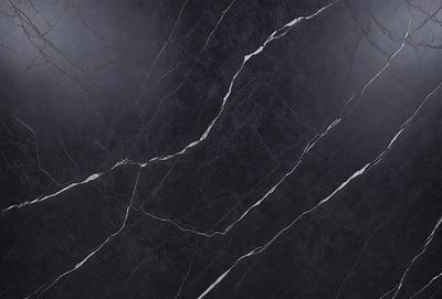 The primary subject of the image is a close-up of a marble wall with a black background. The setting is a room with a black marble wall, and the visual style is a photo. The colors and mood of the image are predominantly black and white, giving it a classic and elegant appearance.