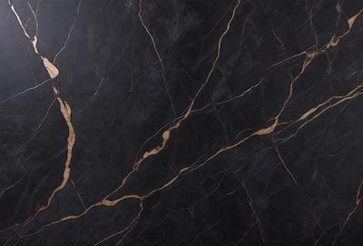 The primary subject of the image is a black marble countertop with a gold-colored vein running through it. The setting is a kitchen, and the visual style is a close-up of the marble countertop. The colors and mood of the image are predominantly black and gold, giving it a luxurious and elegant appearance.