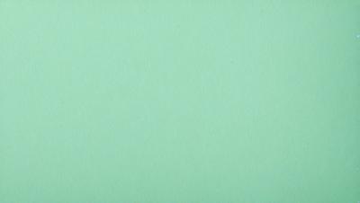 The primary subject of the image is a large, empty green wall. The setting is a room with a green background, and the visual style is a photo. The colors and mood of the image are predominantly green, creating a calm and serene atmosphere.