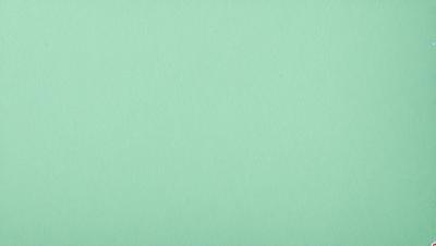 The primary subject of the image is a large, green sheet of paper. The setting is a plain, white background, which creates a clean and minimalist visual style. The colors and mood of the image are predominantly green, giving it a calm and serene atmosphere.