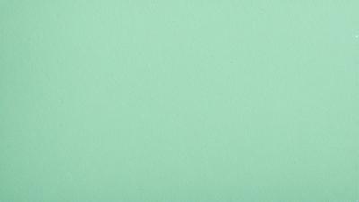 The primary subject of the image is a large, unblemished green wall. The setting is a plain, unadorned space with no visible background or backdrop. The visual style is a close-up of the green wall, which gives the image a clean and minimalist appearance. The colors and mood of the image are predominantly green, creating a calm and serene atmosphere.