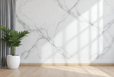 The primary subject of the image is a white vase with a plant in it, placed on a wooden floor. The setting is a room with a marble wall, which adds a luxurious touch to the space. The visual style is a photo, capturing the natural light and the plant's details. The colors and mood of the image are predominantly neutral, with the white vase and wooden floor creating a clean and calming atmosphere.