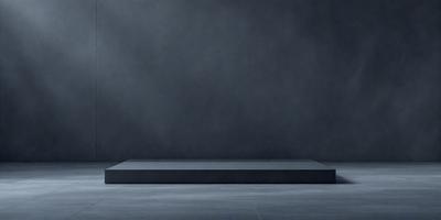 The primary subject of the image is a large, empty room with a gray wall. The setting is a dark room with a black floor, and the visual style is a photo. The colors and mood of the image are predominantly dark and moody, with the gray wall and black floor creating a sense of emptiness and solitude.