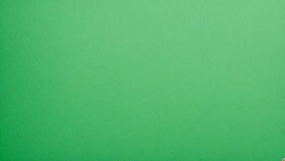 The primary subject of the image is a green background. The setting is a plain, unadorned surface, which creates a clean and minimalist visual style. The colors and mood of the image are predominantly green, giving it a calm and serene atmosphere.