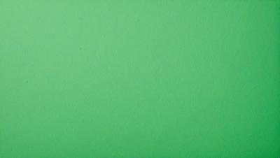 The primary subject of the image is a large, green wall. The setting is a plain, empty room with no other objects or people visible. The visual style is a close-up of the green wall, which gives a sense of depth and texture to the image. The colors and mood are predominantly green, creating a calm and serene atmosphere.