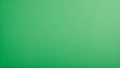 The primary subject of the image is a large, green wall. The setting is a plain, empty room with no other objects or people visible. The visual style is a close-up of the green wall, which gives a sense of depth and texture to the image. The colors and mood are predominantly green, creating a calm and serene atmosphere.