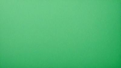 The primary subject of the image is a large, green wall. The setting is a plain, empty room with no other objects or people visible. The visual style is a close-up of the green wall, which gives a sense of depth and texture. The colors and mood of the image are predominantly green, creating a calm and serene atmosphere.