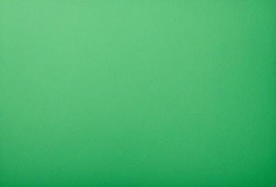 The primary subject of the image is a large, bright green wall. The setting is a plain, empty room with no other objects or people visible. The visual style is a close-up of the green wall, which creates a sense of depth and focus. The colors and mood of the image are predominantly green, giving it a calm and serene atmosphere.