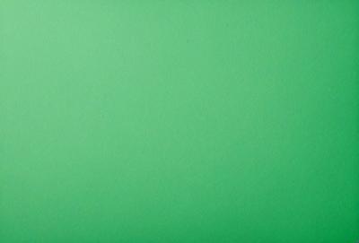 The primary subject of the image is a large, green wall. The setting is a plain, empty room with no other objects or people visible. The visual style is a close-up of the green wall, which gives a sense of depth and texture. The colors and mood of the image are predominantly green, creating a calm and serene atmosphere.