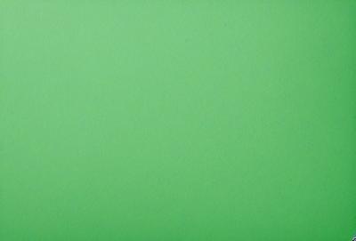 The primary subject of the image is a large, bright green wall. The setting is a plain, empty room with no other objects or people visible. The visual style is a close-up of the green wall, which gives a sense of depth and texture to the image. The colors and mood are predominantly green, creating a calm and serene atmosphere.