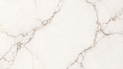 The image features a white marble wall with a pattern of holes and cracks. The wall appears to be a part of a building, possibly a bathroom or a kitchen. The marble surface gives the wall a unique and elegant appearance. The overall atmosphere of the image is clean and sophisticated, with the white marble wall serving as a striking focal point.