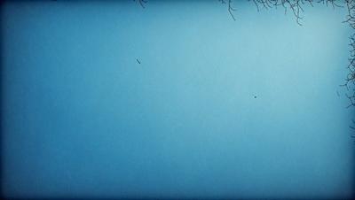 The primary subject of the image is a blue sky with a few birds flying in it. The setting is an open sky, and the visual style appears to be a photo. The colors in the image are predominantly blue, creating a calm and serene atmosphere.