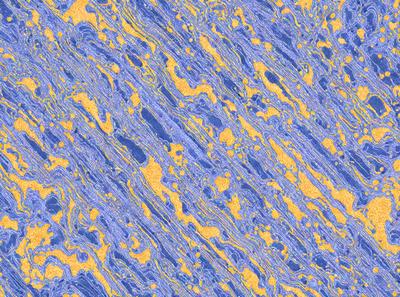The primary subject of the image is a blue and yellow patterned surface, which appears to be a textured fabric or a wallpaper with a blue and yellow color scheme. The setting is a room with a blue and yellow wallpaper, and the visual style is a close-up of the patterned surface. The colors and mood of the image are vibrant and lively, with the blue and yellow colors creating a warm and inviting atmosphere.
