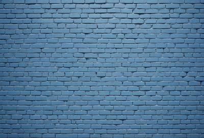 The primary subject of the image is a blue brick wall. The setting is a brick wall, and the visual style is a photo. The dominant colors are blue and white, creating a calm and serene atmosphere.