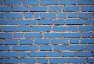 The primary subject of the image is a blue brick wall. The setting is a brick wall with blue bricks, and the visual style is a photo. The dominant colors are blue and white, creating a calm and serene atmosphere.