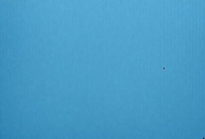 The primary subject of the image is a blue background with a single red dot. The setting is a large, open space, and the visual style appears to be a digital art or illustration. The dominant colors are blue and red, creating a contrasting and visually striking scene.