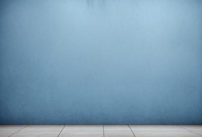 The primary subject of the image is a blue wall. The setting is a room with a blue wall, and the visual style is a photo. The dominant colors are blue and white, creating a calm and serene atmosphere.