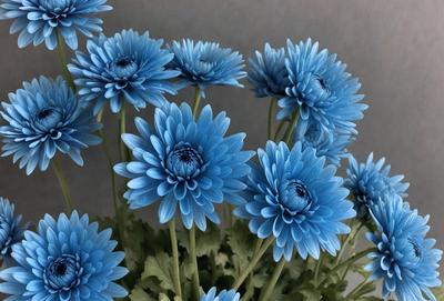 The primary subject of the image is a bouquet of blue flowers, which are the main focus of the scene. The flowers are arranged in a vase, creating a visually appealing display. The setting is a room with a gray background, which provides a neutral and clean environment for the flowers. The visual style of the image is a close-up of the flowers, allowing the viewer to appreciate the details of the bouquet. The colors and mood of the image are predominantly blue, creating a calm and serene atmosphere