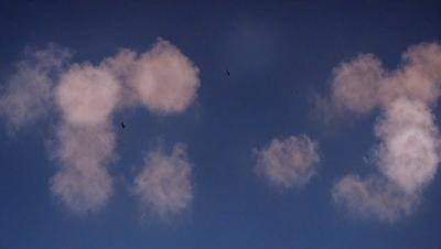 The primary subject of the image is a cloudy blue sky filled with various cloud formations. The setting is a clear day with a blue sky, and the visual style is a natural, outdoor scene. The colors and mood of the image are predominantly blue and serene, creating a peaceful atmosphere.