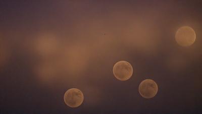 The primary subject of the image is a group of four moons, each with a different size and position. They are set against a backdrop of a cloudy sky, which adds to the overall atmosphere of the scene. The visual style of the image is a combination of photo and digital art, creating a unique and captivating representation of the moons. The colors and mood of the image are predominantly dark and moody, with the moons and clouds serving as the main focal points.