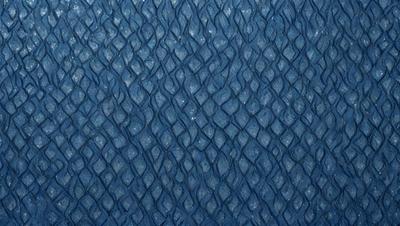 The primary subject of the image is a blue, textured surface with a pattern resembling a fish scale. The setting is a blue background, and the visual style appears to be a digital art or illustration. The dominant colors are blue and white, creating a calm and serene atmosphere.