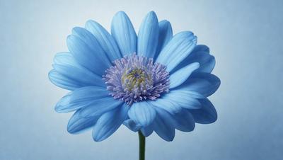 The primary subject of the image is a blue flower with a yellow center, which is the main focus of the image. The setting is a white background, which provides a clean and minimalistic environment for the flower. The visual style of the image is a close-up of the flower, showcasing its details and colors. The dominant colors in the image are blue and yellow, creating a calm and serene atmosphere.