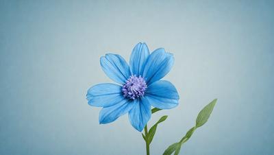 The primary subject of the image is a blue flower with a purple center, sitting on a blue background. The visual style of the image is a photo, and the dominant colors are blue and purple. The overall atmosphere of the image is calm and serene.