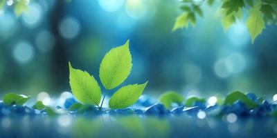 The primary subject of the image is a green leaf, which is the main object, scene, or focus of the image. The leaf is placed on a blue surface, which serves as the setting or background. The visual style of the image is a photo, capturing the leaf in its natural environment. The colors and mood of the image are predominantly green and serene, as the leaf is the main subject and the blue surface complements the green hue of the leaf.