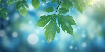 The primary subject of the image is a leaf, which is the main object, scene, or focus of the image. The leaf is green and is placed against a blue background, creating a contrast between the leaf and the sky. The visual style of the image is a photo, capturing the leaf in its natural environment. The colors and mood of the image are predominantly blue and green, giving the image a calm and serene atmosphere.